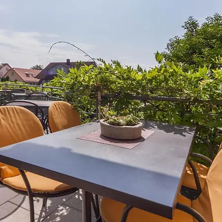 게스트하우스 Mueller 3*