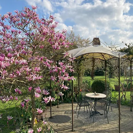 Mueller 이멘슈타트암보덴지