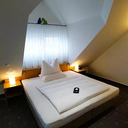 Mueller Immenstaad am Bodensee