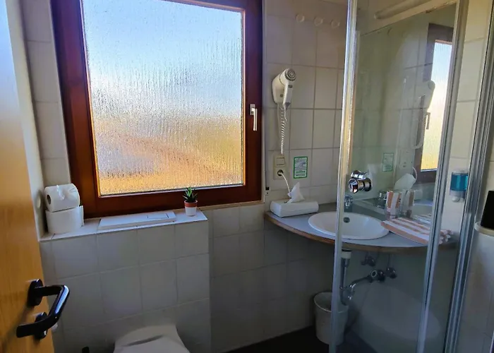 蓝迪豪斯穆勒酒店 招待所 博登斯边的伊门施塔特